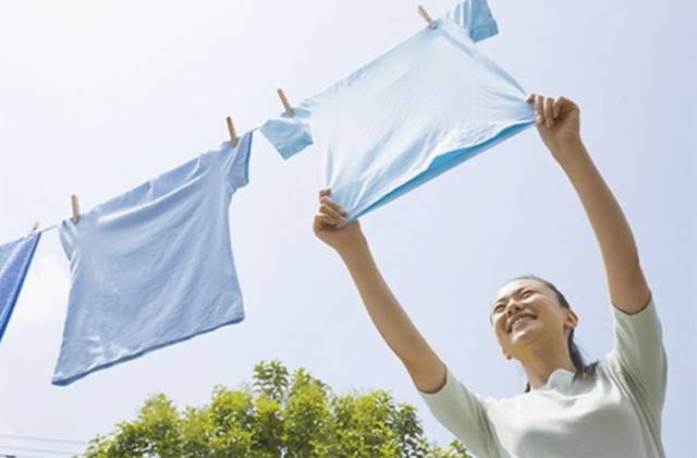 mua vai thun ca sau poly gia si